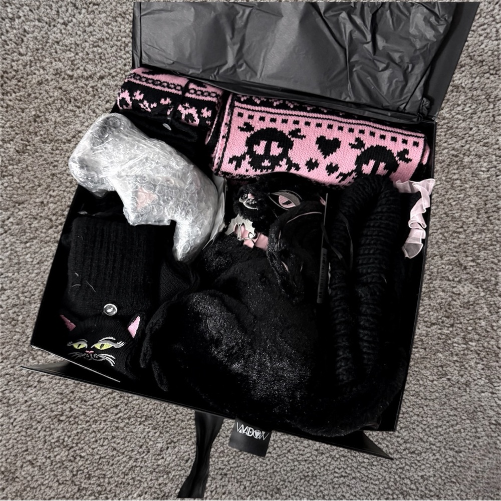 Dolls Kill Widow Cat Obsession Box